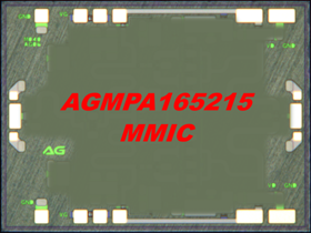 AGMPA165215
